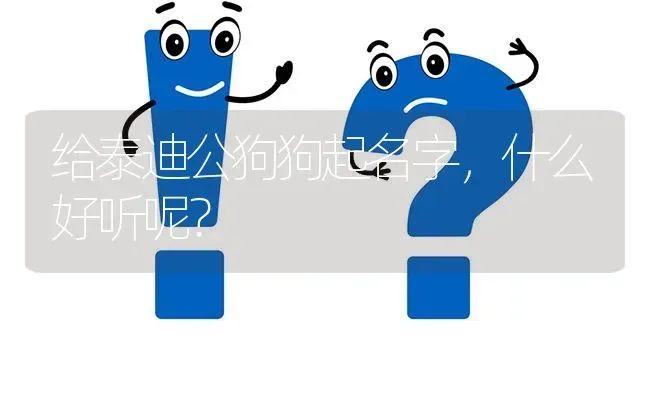 给泰迪公狗狗起名字，什么好听呢？ | 动物养殖问答