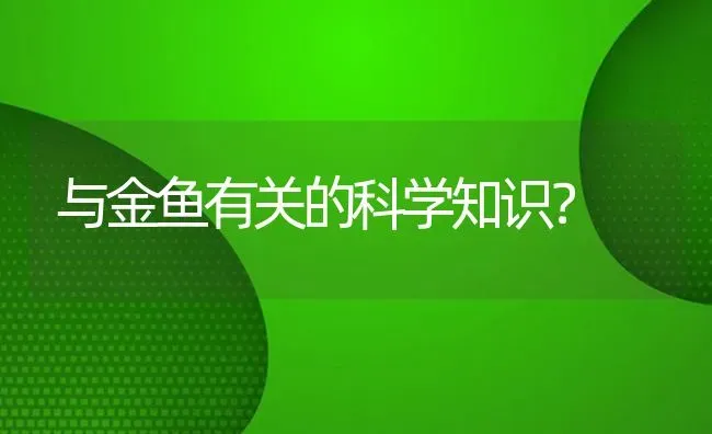 与金鱼有关的科学知识？ | 鱼类宠物饲养