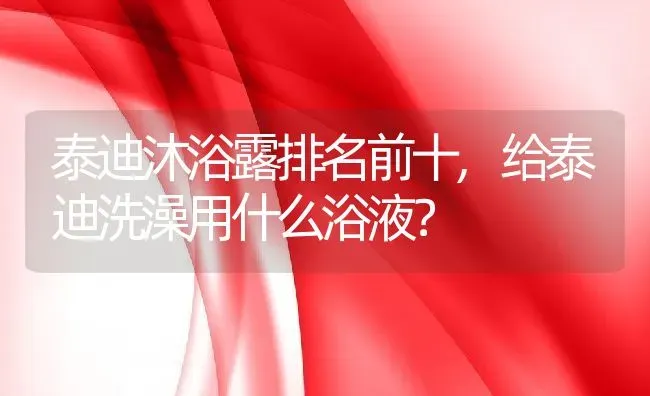 泰迪沐浴露排名前十,给泰迪洗澡用什么浴液？ | 宠物百科知识