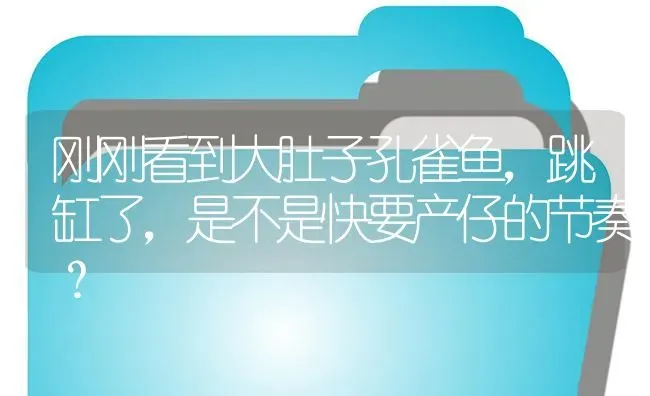 刚刚看到大肚子孔雀鱼，跳缸了，是不是快要产仔的节奏？ | 鱼类宠物饲养