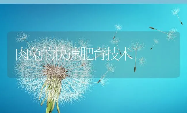 怎样给牧草施肥 | 动物养殖学堂