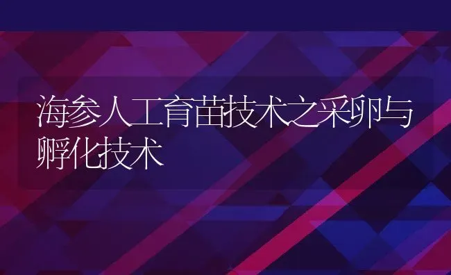 海参人工育苗技术之采卵与孵化技术 | 动物养殖教程