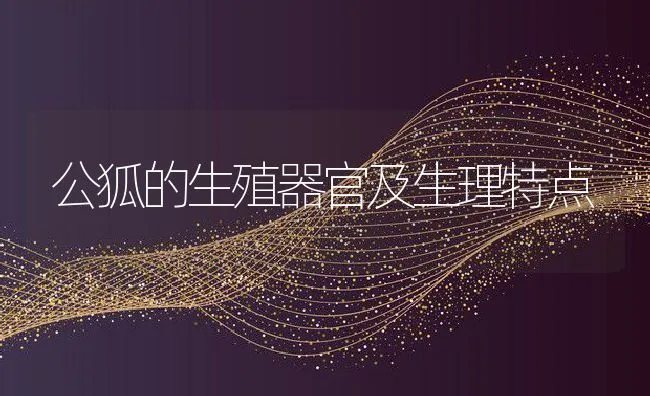 公狐的生殖器官及生理特点 | 动物养殖学堂