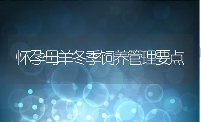 怀孕母羊冬季饲养管理要点 | 水产养殖知识