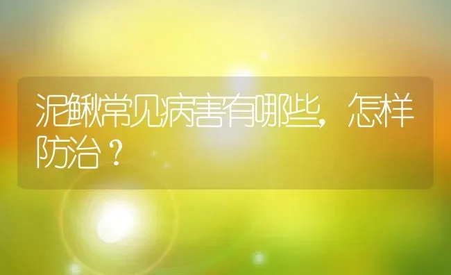 泥鳅常见病害有哪些，怎样防治？ | 动物养殖百科