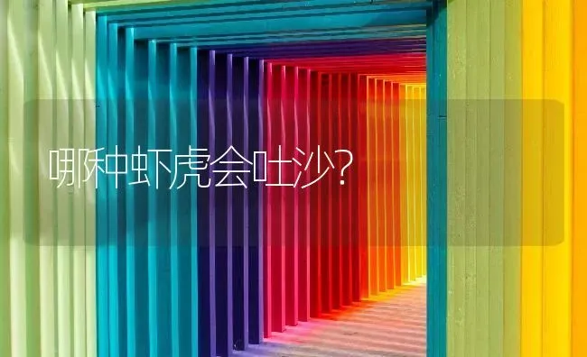 哪种虾虎会吐沙？ | 鱼类宠物饲养