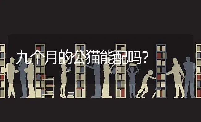 九个月的公猫能配吗？ | 动物养殖问答