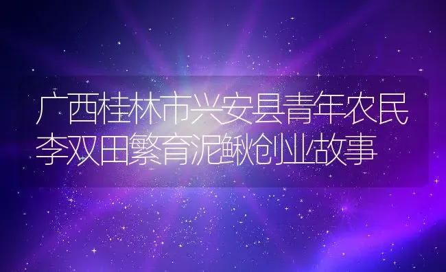 广西桂林市兴安县青年农民李双田繁育泥鳅创业故事 | 动物养殖百科