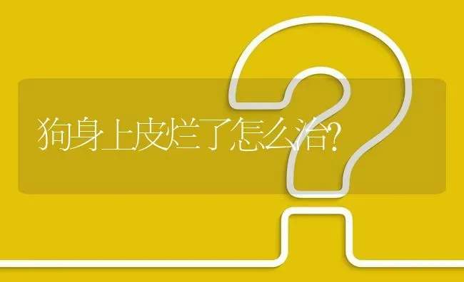 狗身上皮烂了怎么治？ | 动物养殖问答