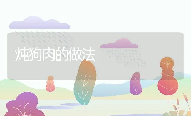 炖狗肉的做法 | 动物养殖百科