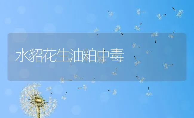 水貂花生油粕中毒 | 水产养殖知识