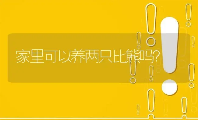 家里可以养两只比熊吗？ | 动物养殖问答