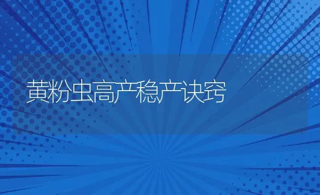 深秋防治家兔鼓胀病方法 | 动物养殖学堂