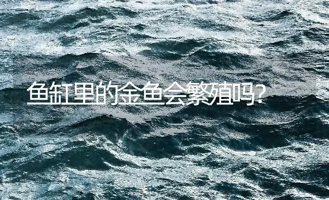 接吻鱼鱼尾被咬严重吗？ | 鱼类宠物饲养