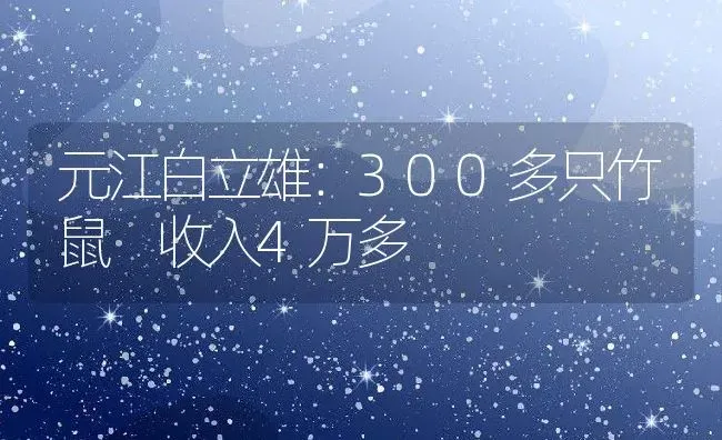 元江白立雄：300多只竹鼠 收入4万多 | 动物养殖教程