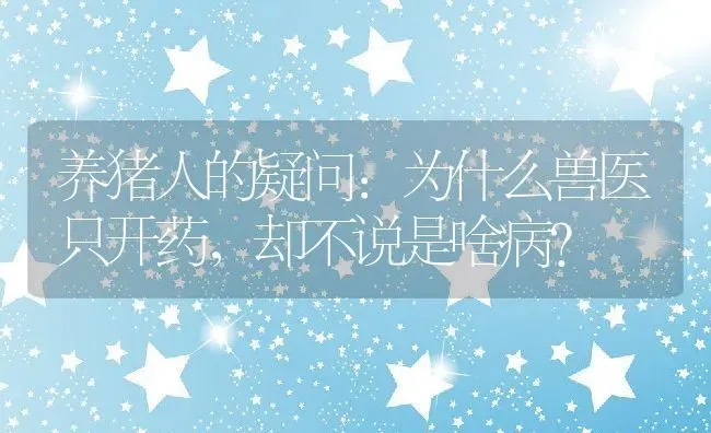 养猪人的疑问：为什么兽医只开药，却不说是啥病？ | 动物养殖百科