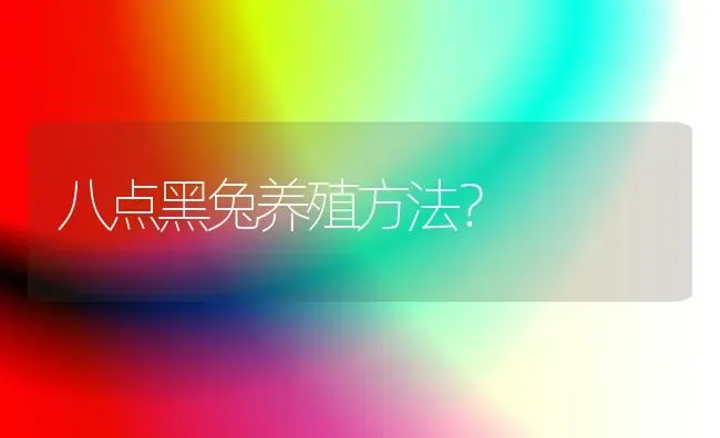 八点黑兔养殖方法？ | 动物养殖问答