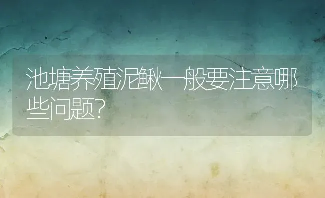 池塘养殖泥鳅一般要注意哪些问题？ | 动物养殖百科