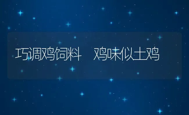 巧调鸡饲料 鸡味似土鸡 | 动物养殖饲料