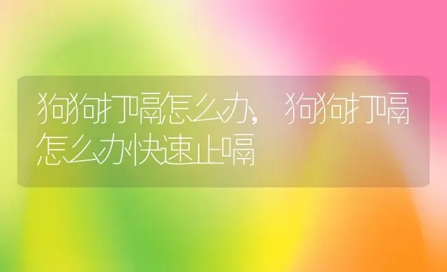 狗狗打嗝怎么办,狗狗打嗝怎么办快速止嗝 | 宠物百科知识