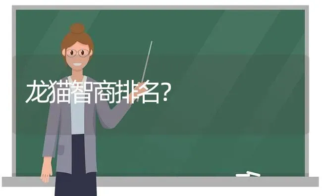 龙猫智商排名？ | 动物养殖问答