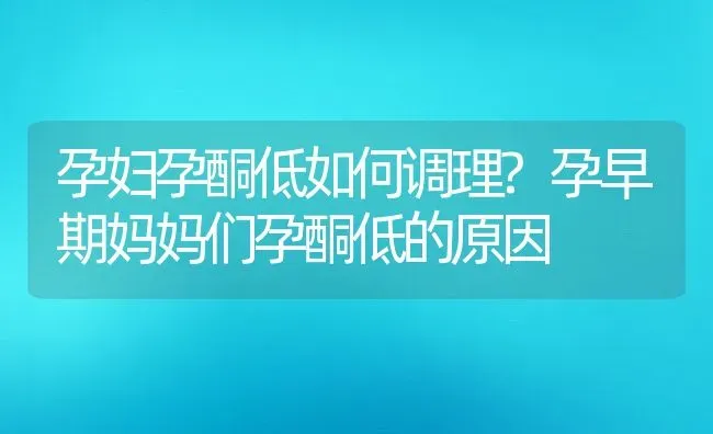 孕妇孕酮低如何调理?孕早期妈妈们孕酮低的原因 | 动物养殖百科