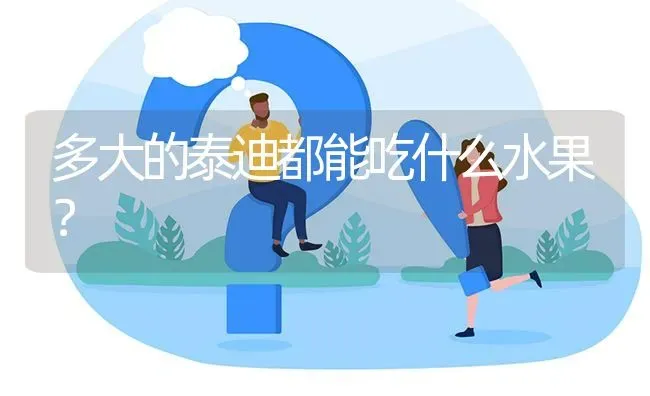 养比熊的坏处都有哪些？ | 动物养殖问答