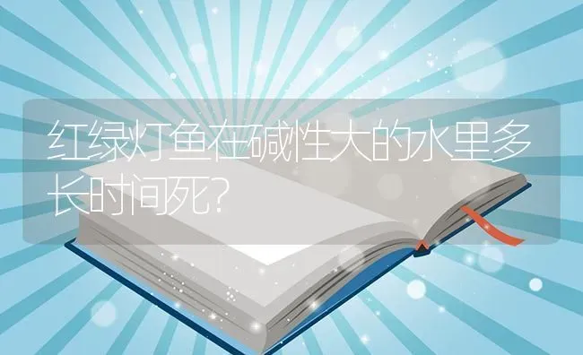 红绿灯鱼在碱性大的水里多长时间死？ | 鱼类宠物饲养