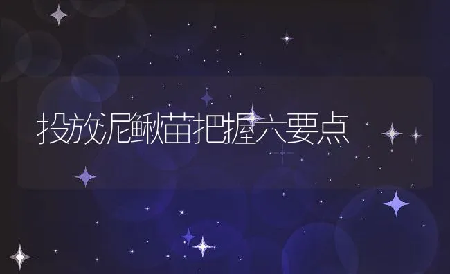 养猪场：夏季驱蚊小技巧（仅供参考） | 动物养殖学堂