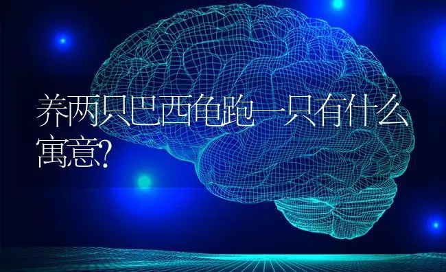 个个都像加菲猫什么梗？ | 动物养殖问答