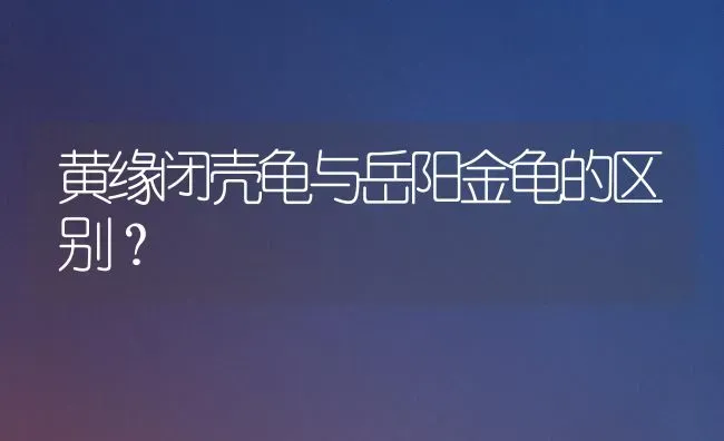 黄缘闭壳龟与岳阳金龟的区别？ | 动物养殖问答