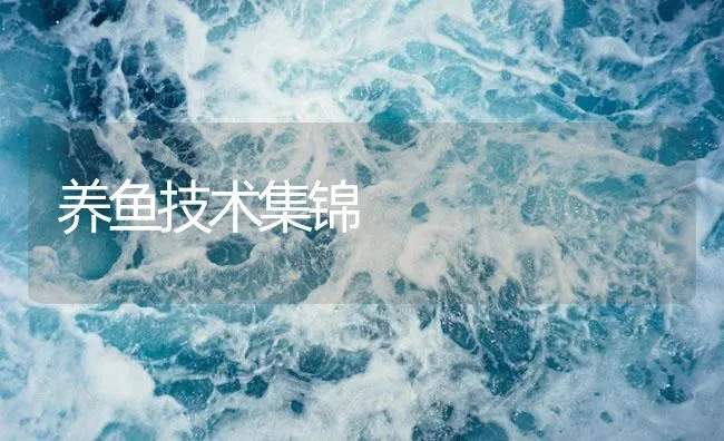 养鱼技术集锦 | 海水养殖技术