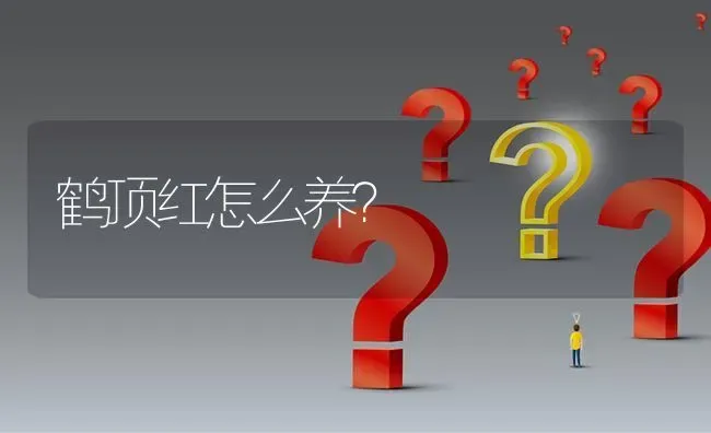 鹤顶红怎么养？ | 鱼类宠物饲养