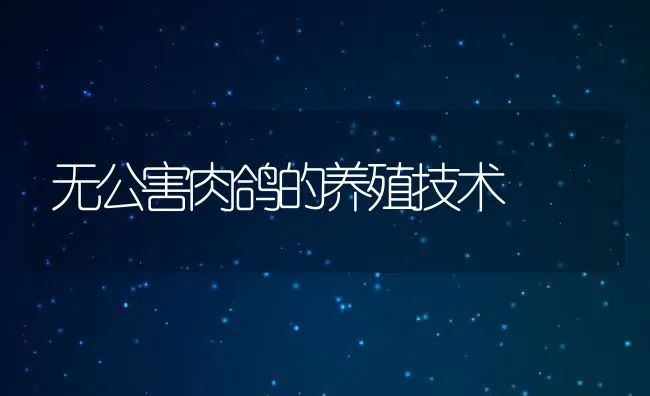 无公害肉鸽的养殖技术 | 水产养殖知识