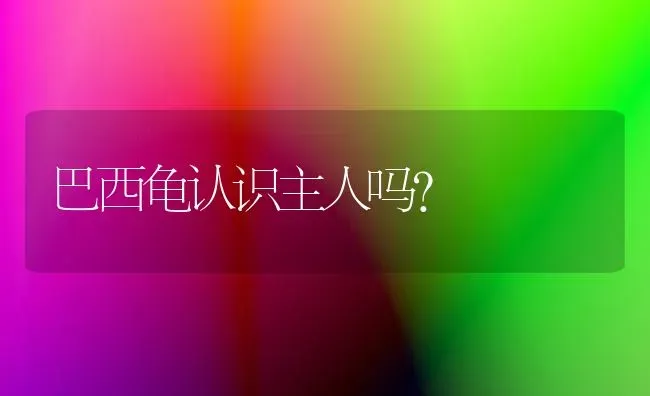 巴西龟认识主人吗？ | 动物养殖问答