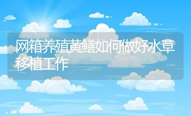 网箱养殖黄鳝如何做好水草移植工作 | 动物养殖教程