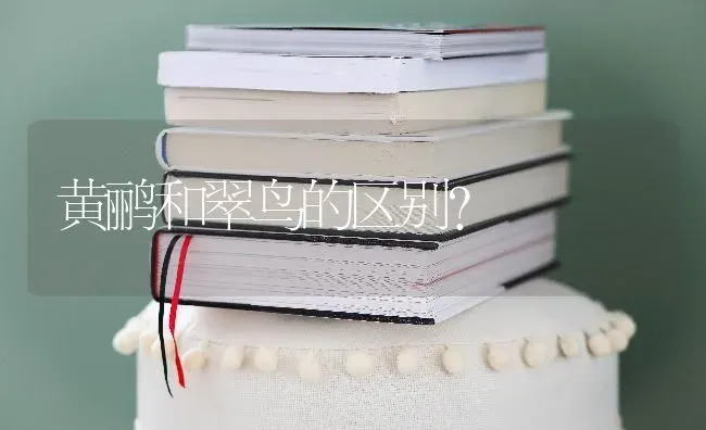什么颜色布偶猫能生出双色山猫纹？ | 动物养殖问答