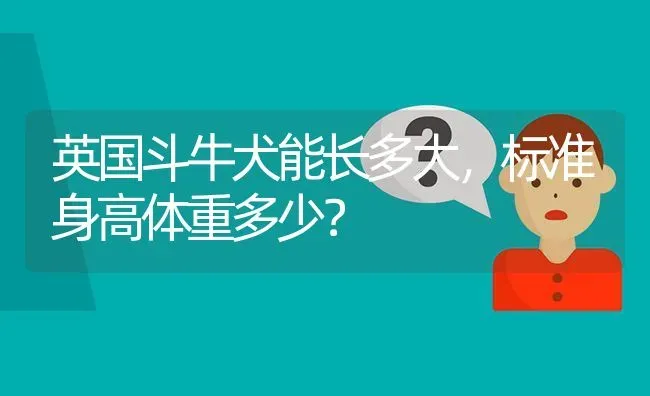 英国斗牛犬能长多大，标准身高体重多少？ | 动物养殖问答