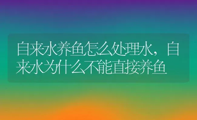 自来水养鱼怎么处理水,自来水为什么不能直接养鱼 | 宠物百科知识