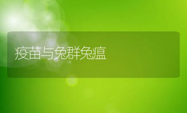 疫苗与兔群兔瘟 | 水产养殖知识