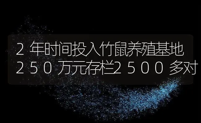 2年时间投入竹鼠养殖基地250万元存栏2500多对 | 动物养殖百科