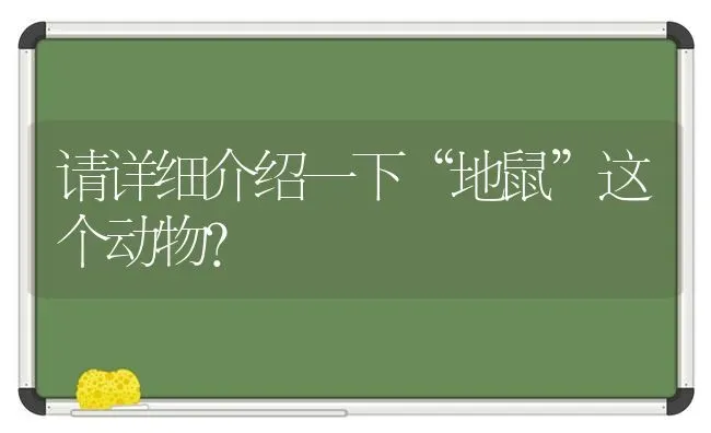 请详细介绍一下“地鼠”这个动物？ | 动物养殖问答