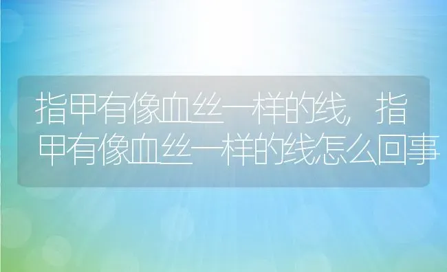 指甲有像血丝一样的线,指甲有像血丝一样的线怎么回事 | 宠物百科知识