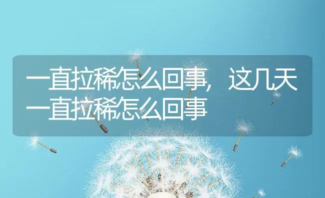 一直拉稀怎么回事,这几天一直拉稀怎么回事 | 宠物百科知识