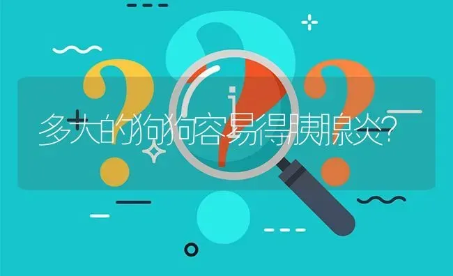 多大的狗狗容易得胰腺炎？ | 动物养殖问答