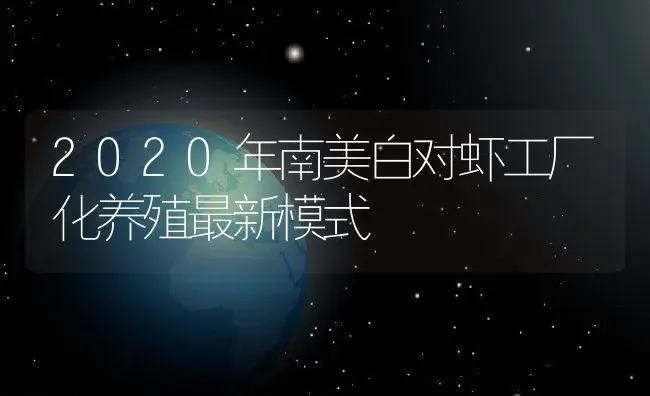 2020年南美白对虾工厂化养殖最新模式 | 动物养殖百科