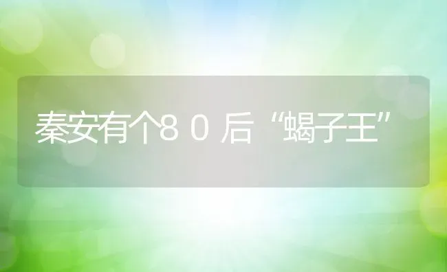 秦安有个80后“蝎子王” | 动物养殖教程