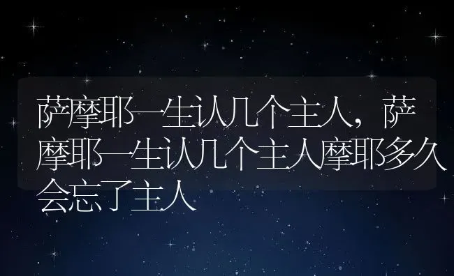 萨摩耶一生认几个主人,萨摩耶一生认几个主人摩耶多久会忘了主人 | 宠物百科知识