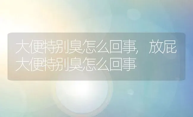 大便特别臭怎么回事,放屁大便特别臭怎么回事 | 宠物百科知识