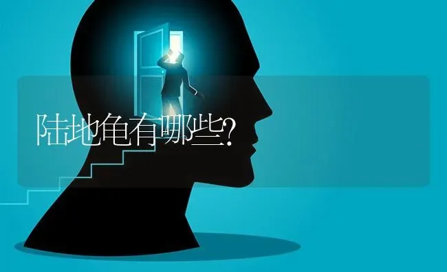 三个月的小拉布拉多该怎么训练它成为听口令的狗狗？ | 动物养殖问答